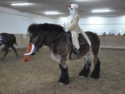 DSC_0915_web